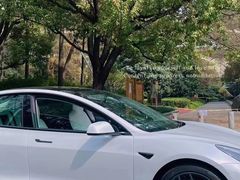 -TESLA 特斯拉(上海太古汇体验店)