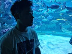 -海合安成都极地海洋公园