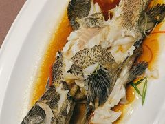 -鸽子张·家宴(大兴店)