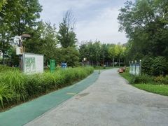 -回龙观体育文化公园