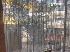 -蛙小侠(珠海华发商都店)