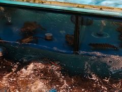 -谊荣海鲜大牌档(石湖店)