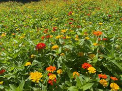 -森林公园(尖草坪区)