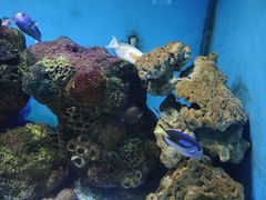 -大连老虎滩海洋公园