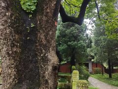 -潭柘寺景区