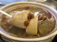 五指毛桃药膳乳鸽-鸽鸟轩(石岐店)