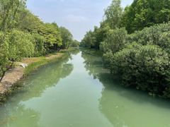 -贡湖湾湿地公园