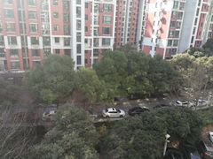 -世纪同乐绿地世纪城二期