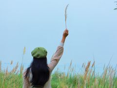 -南沙蒲洲花园