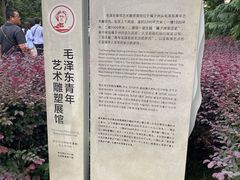 景点-橘子洲景区