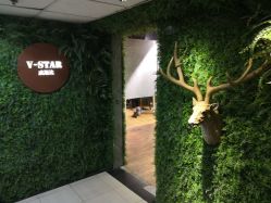 -V-STAR威斯达•高级私人定制