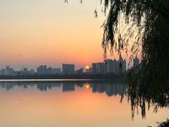 -艾溪湖湿地公园