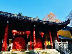 -灵谷景区