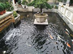 -顺德了能馆(虎门店)