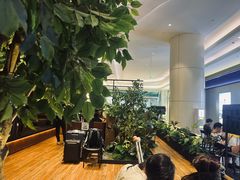 -同仁四季椰子鸡(宝安壹方城店)