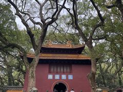 -普陀山风景名胜区-法雨禅寺