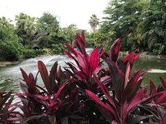 -厦门日月谷温泉渡假村