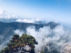 -黄山风景区