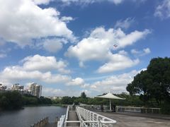 -新江湾城公园