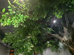 -西夏回族烧麦馆(牡丹街店)