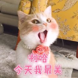 -Miss·A日式美甲美睫