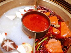 麻辣骨汤番茄锅-豪渝火锅(李家村万达店)