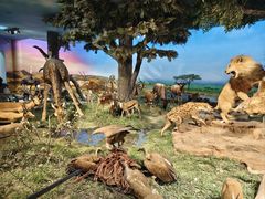 -国家自然博物馆