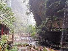 -碧峰峡风景区