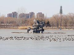 -大兴滨河森林公园