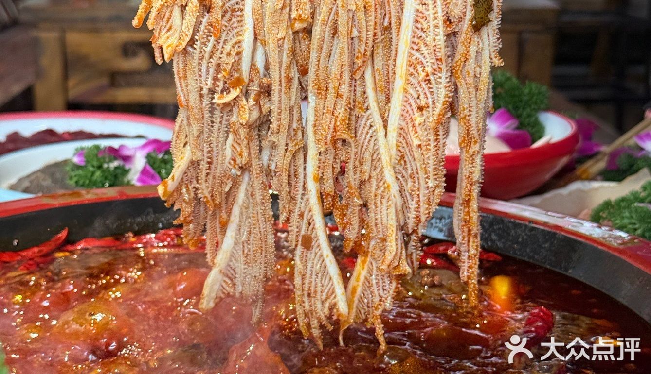 🍲成都这家火锅店不火天理难容！！！🔥