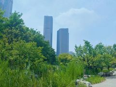 -大望京公园