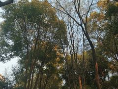 -东水关遗址公园