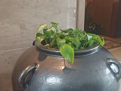 -青岛海尔洲际酒店