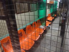 -猫咪博物馆(顶澳仔猫街店)