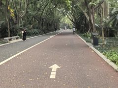 -南宁南湖公园