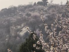 -白水寺森林公园