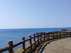 -涉地可支