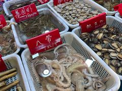 -旺角小渔村·海肠捞饭开创者(环山路店)