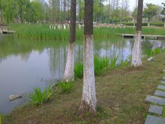 android_upload_pic-白塘生态植物园