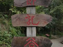 -夏霖九天银瀑风景区