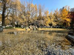 -温江公园