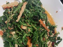 炝拌枸杞芽-西贝莜面村(万象天地店)