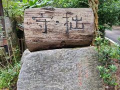 -芦沟竹海