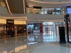 -TESLA 特斯拉(郑州正弘城体验店)