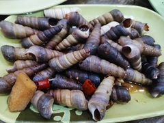 -贞姨美食·老字号海鲜大排档