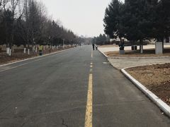 -长春世界雕塑园冰雪艺术天地