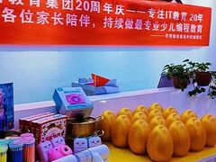-童程童美·信息学竞赛·乐高机器人编程(昆明世纪城校区)