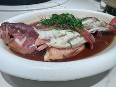 东星斑-富黎华海鲜大酒楼(正大广场店)