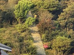 -梧桐山风景名胜区