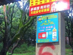 -满記土窑烧鷄波浪山莊
